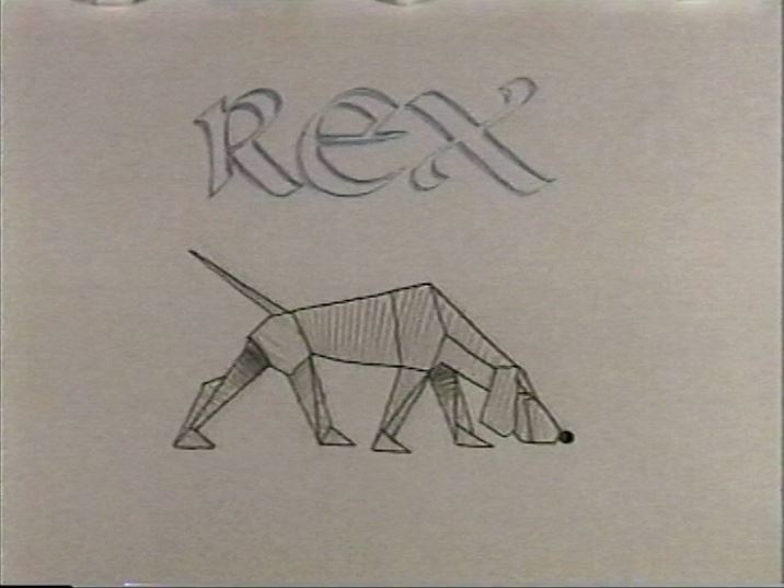 Hund